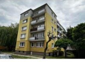 Image category