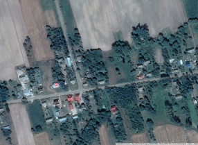 Image category