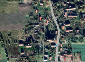 Image category