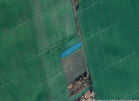 Image category