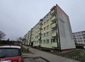 Image category