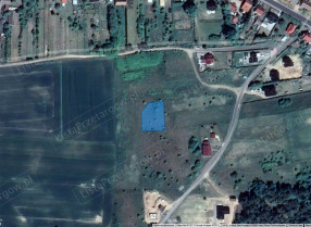 Image category