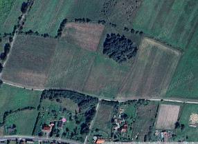 Nieruchomość