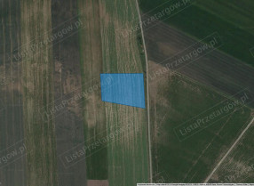 Image category