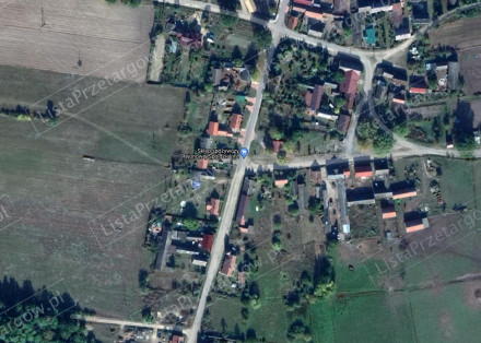 Image category