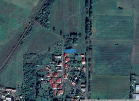 Image category