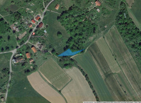 Image category