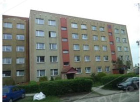 Image category