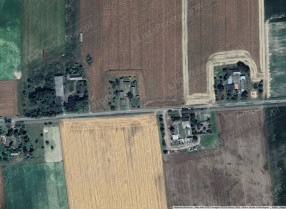 Image category