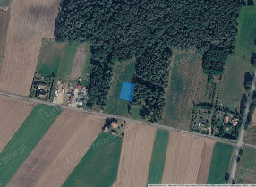 Nieruchomość