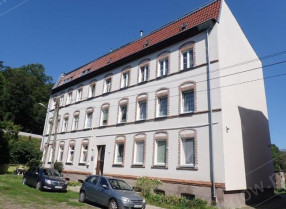 Image category