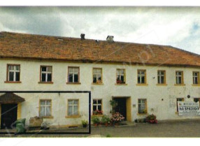 Image category