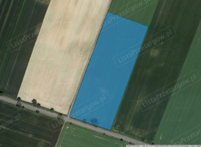 Image category