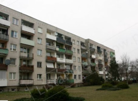 Image category