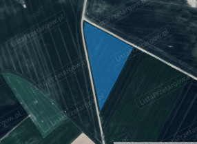 Image category