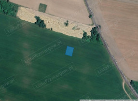Image category