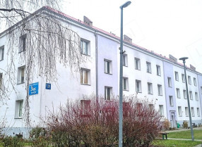 Image category