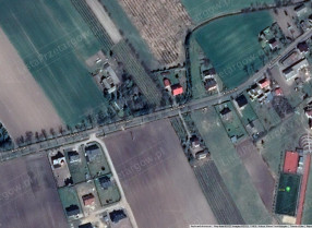 Image category