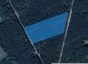 Image category