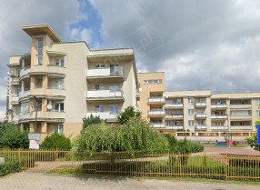 Image category