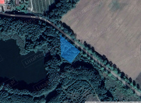 Image category