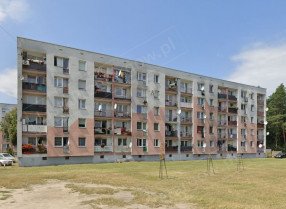 Image category