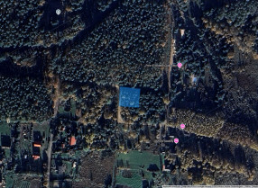 Image category