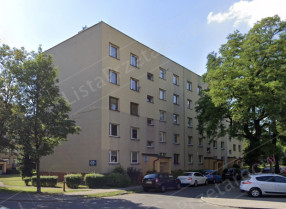 Image category