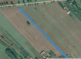 Nieruchomość