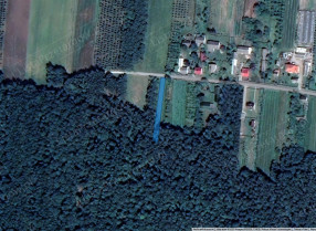 Image category