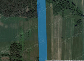 Image category