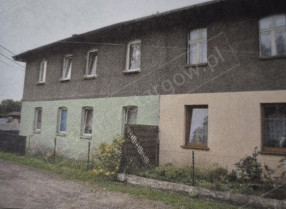 Image category
