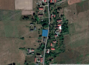 Image category