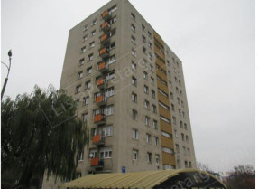 Image category