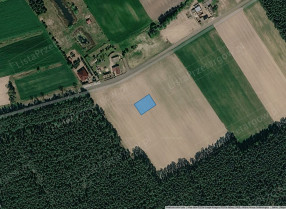 Zdjęcie nieruchomości