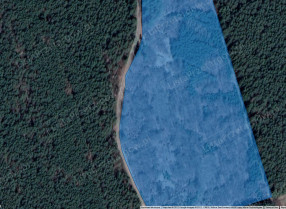 Image category