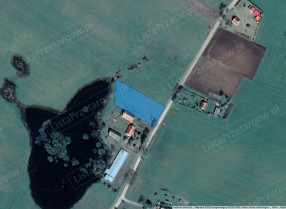Image category