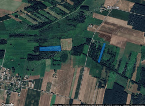 Nieruchomość