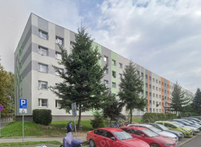 Image category