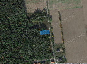 Nieruchomość