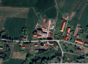 Image category
