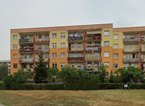 Image category