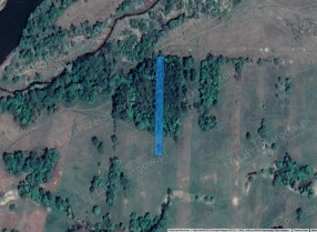 Image category