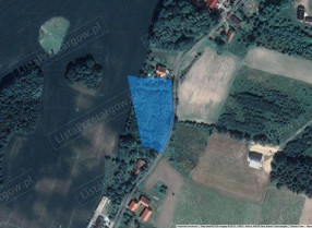 Image category