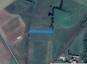 Image category