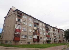 Image category