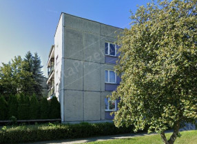 Image category