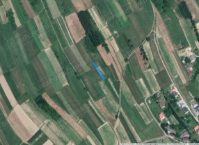 Image category