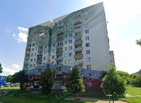 Image category