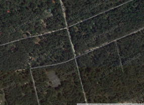 Image category